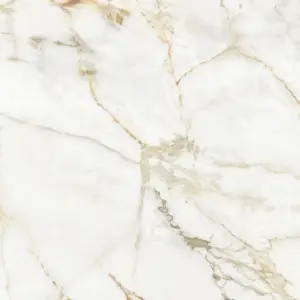Calacatta Oro Benchtop